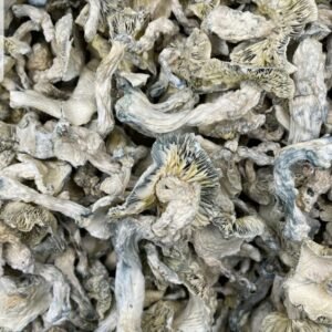 Buy Treasure Coast TC