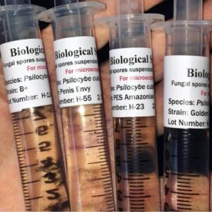 Spores Syringes