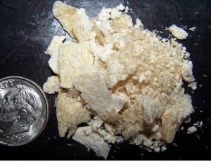 Buy mescaline cactus online